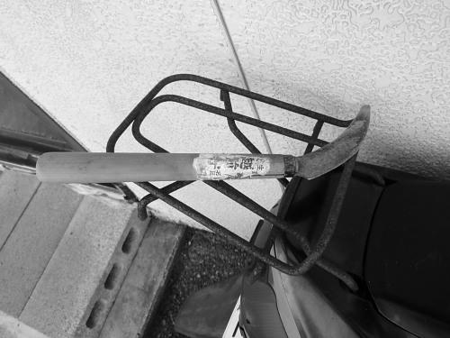 P4130190op50.jpg