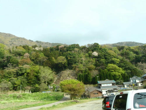 P4240380op2.jpg