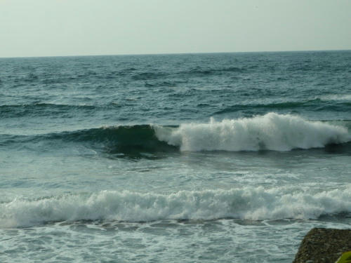 P4240384op4.jpg