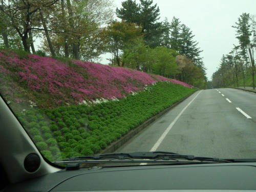 P4260010op5.jpg