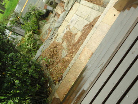 P4260025op8.jpg