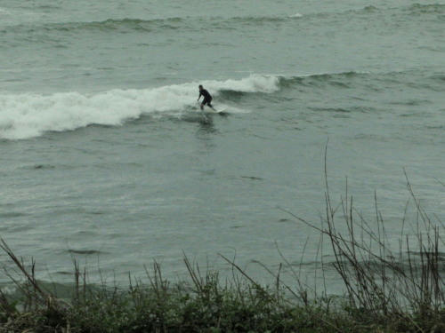P4280045op2.jpg