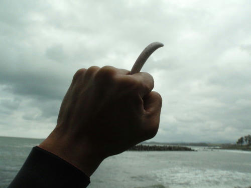 P4280056op9.jpg