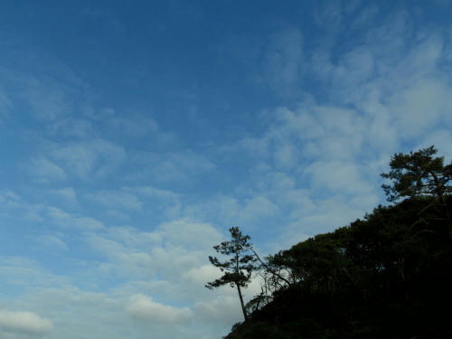 P4280057op10.jpg