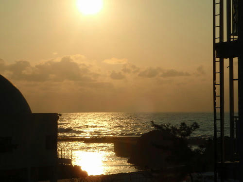 P4280062op12.jpg