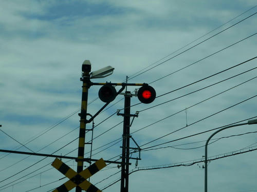 P4290065op2.jpg