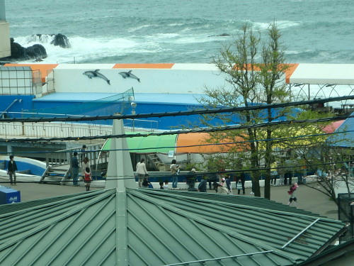 P4290077op12.jpg