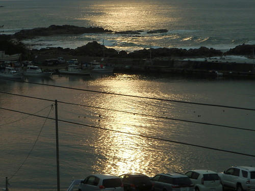 P4290095op20.jpg