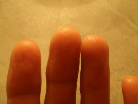 P4290101op22.jpg