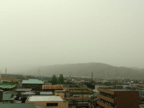 P5020109op2.jpg