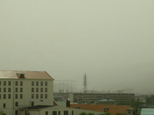 P5020111op3.jpg
