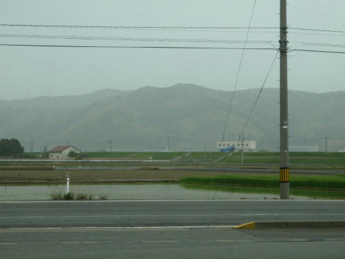 P5030115op1.jpg