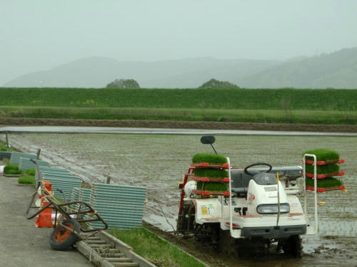 P5030117op2.jpg