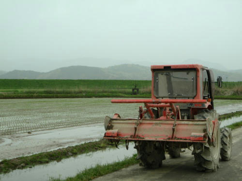 P5030118op3.jpg