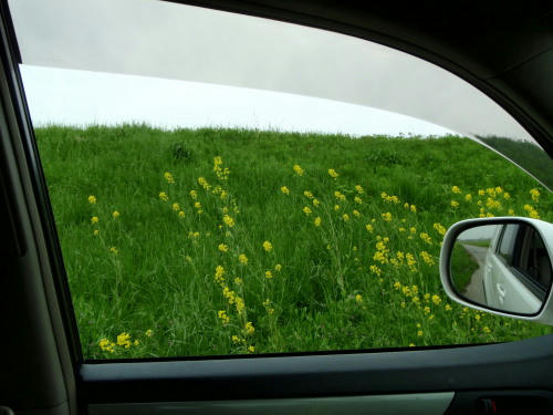 P5030119op4.jpg