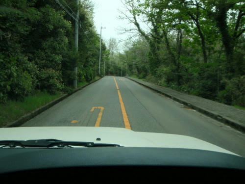 P5030125op6.jpg