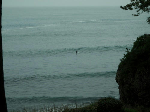 P5030129op8.jpg