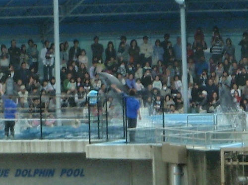 P5030134op12.jpg