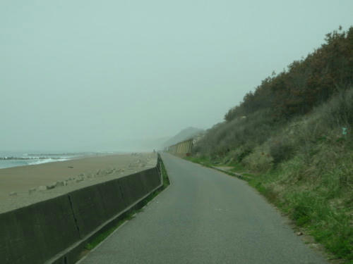 P5030136op13.jpg