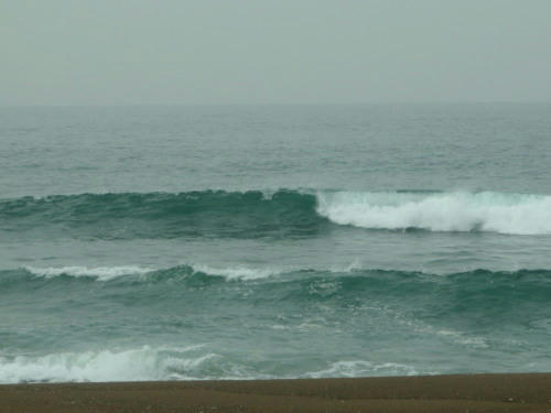 P5030138op14.jpg