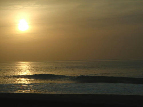 P5030144op15.jpg