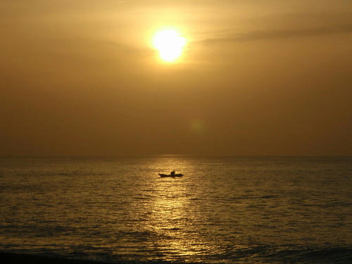 P5030147op16.jpg