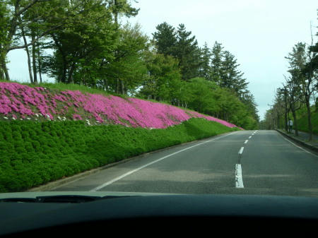P5050163op4.jpg