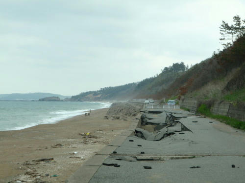 P5050166op5.jpg