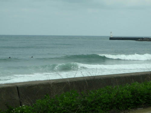 P5050175op7.jpg