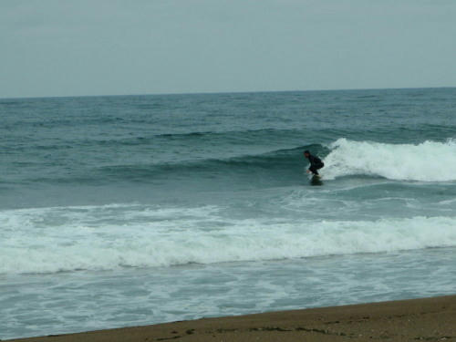 P5050180op8.jpg