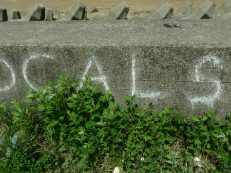 P5050194op13.jpg