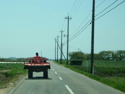P5050206op15.jpg