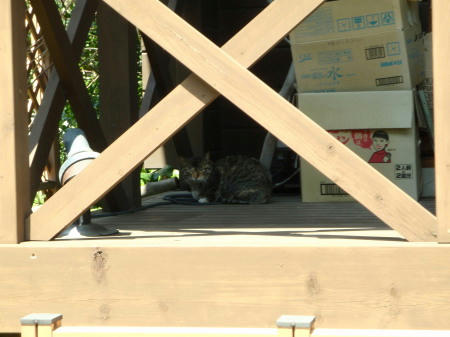 P5050207op16.jpg