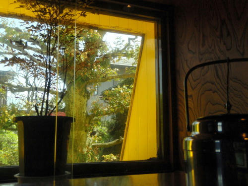 P5050215op25.jpg