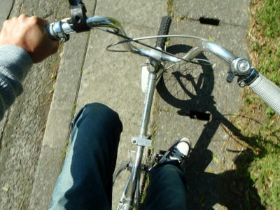 P5050228op3.jpg
