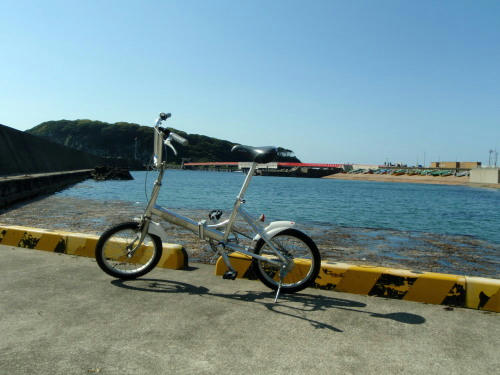 P5050237op6.jpg