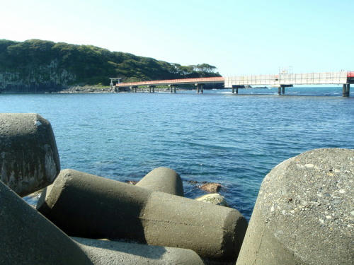 P5050243op10.jpg
