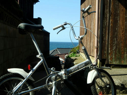 P5050246op12.jpg