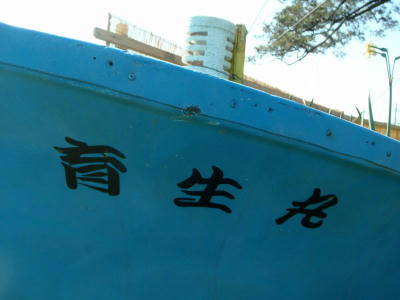 P5050252op17.jpg