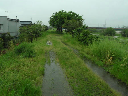 P5110308op9.jpg