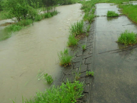 P5110321op13.jpg