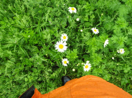 P5110327op14.jpg