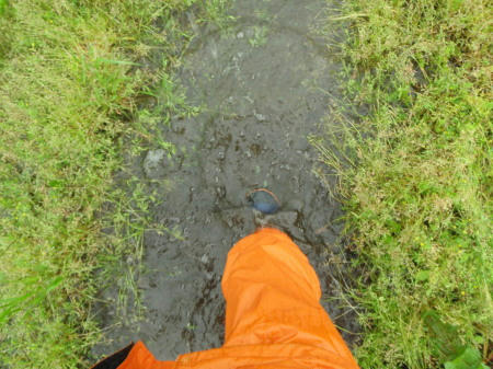 P5110329op15.jpg