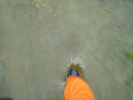 P5110333op18.jpg