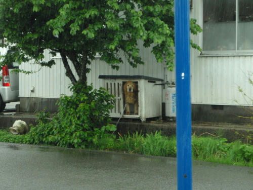 P5110290op2.jpg