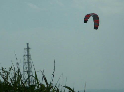 P5140426op1.jpg