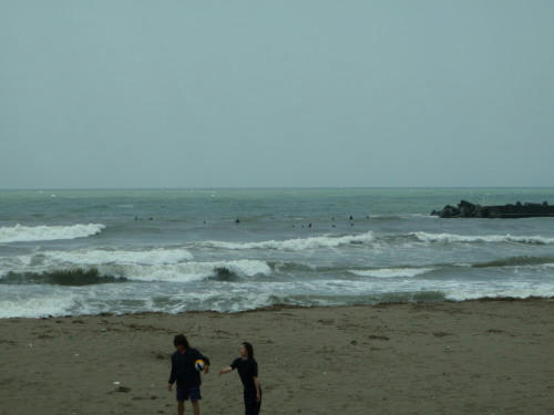 P5140427op2.jpg