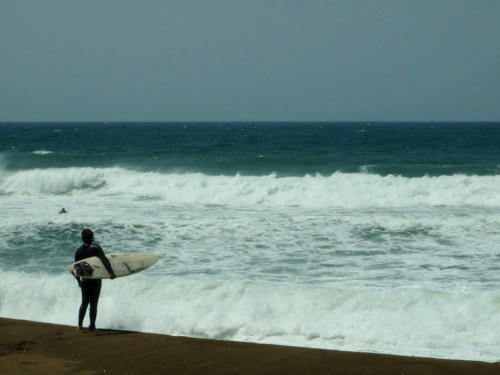 P5140431op3.jpg