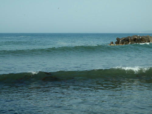 P5140435op4.jpg