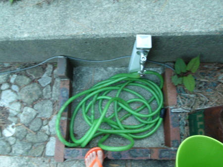 P5140440op7.jpg